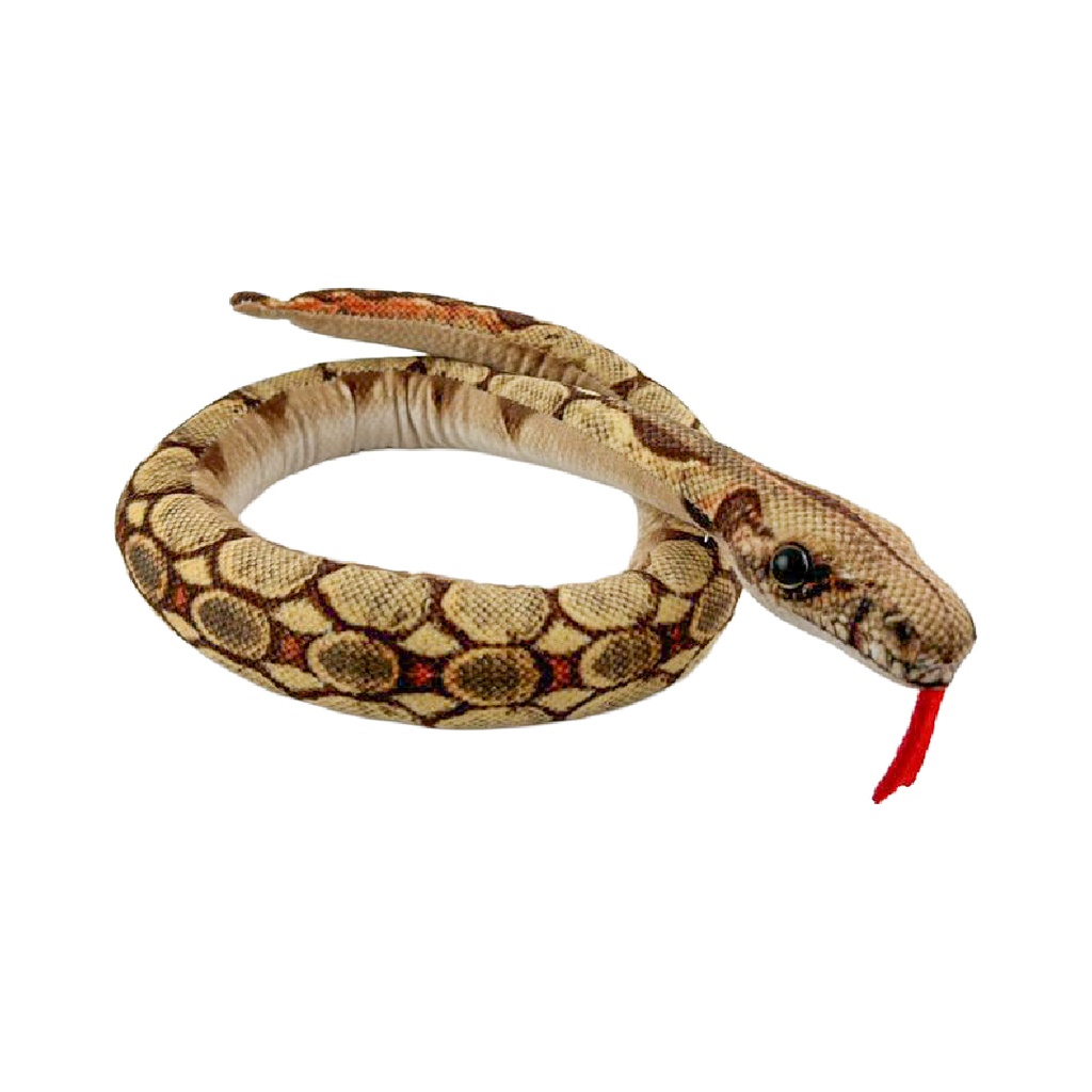 Culebra Boa Lina 67cm