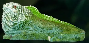 Figura Iguana