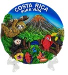 Plato Ecologico con Base