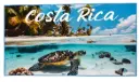 Toalla de Playa Tortuga 