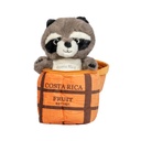 Peluche Mapache en Tronco Mito 22cm