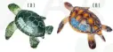 Figura tortuga Cafe y Verde Pequeña