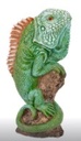Magnético Figura Iguana Pequeña
