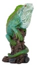 Figura Iguana Tronco Mediana