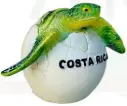 Figura Huevo Tortuga CH